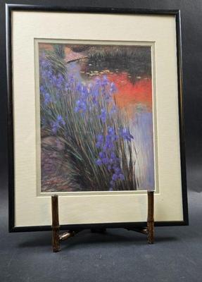 iris