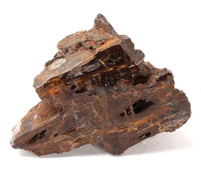 Lot 188 wonderful ancient red wood petrified wood section
