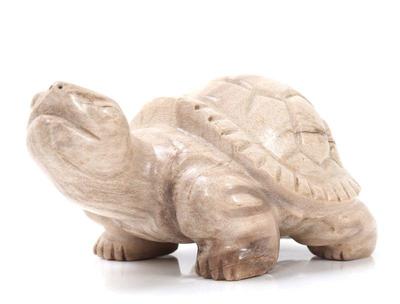 Lot 178 wonderful ancient fossilized wood turtle