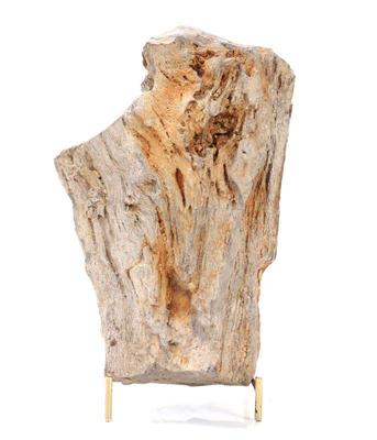 Lot 177 wonderful prehistoric fossilized petrified wood