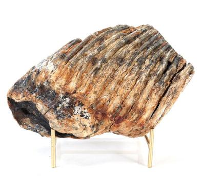 Lot 194 large ancient mammoth molar on stand