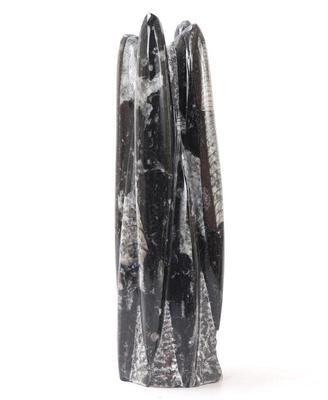 Lot 180 lovely orthoceras fossil tower