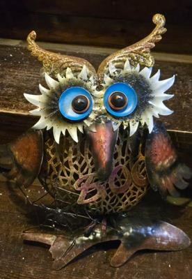 Owl