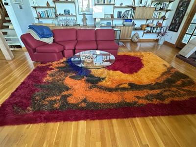 Shag rugs