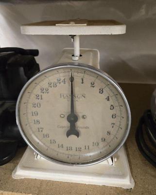 Scale