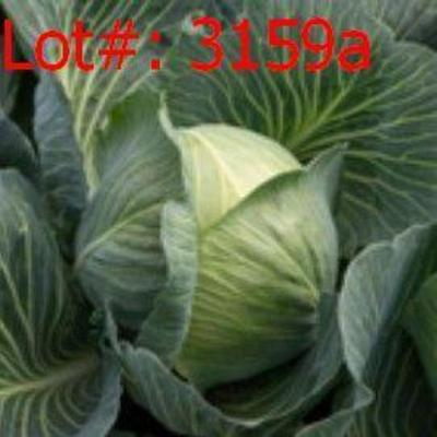 Sale Photo Thumbnail #389