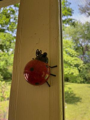 Sale Photo Thumbnail #434
