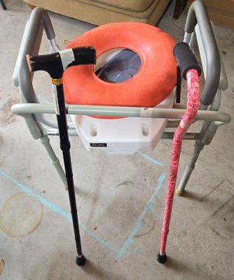 CAREX Medical Commode, 2 Canes, and Inflatable Cushion