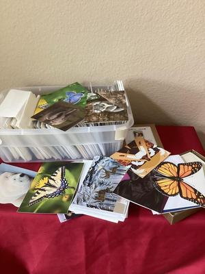 Cards