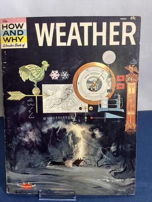 Weather Paperback Book