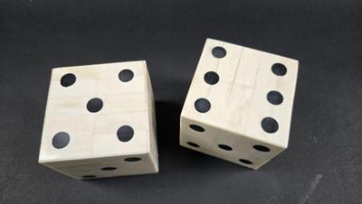Large bone dice