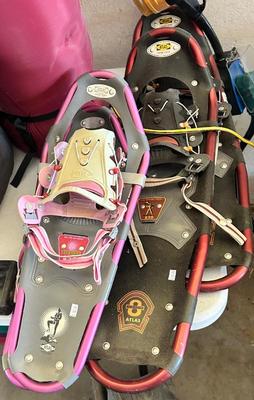 Snowshoes