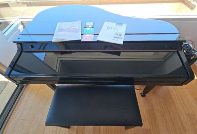 SAMICK DIGITAL/ELECTRIC PIANO/PLAYER PIANO