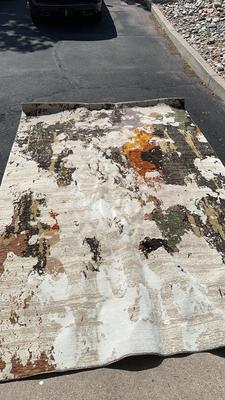 Oriental Weavers Evolution Large Area Rug