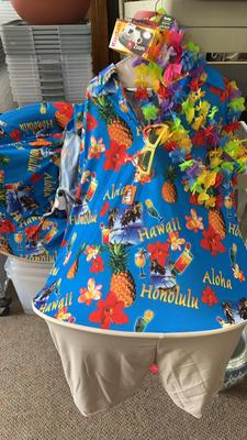 Dr Peppers Going To Hawaii Funny Tourist Costumes