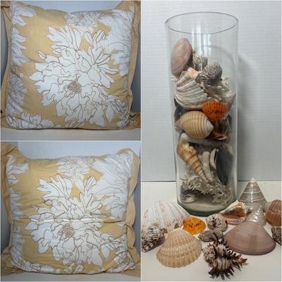 Tridacna Clam Shells, Endive Murex Sea Shell Hexaplex Cichoreum & More Unique Sea Shells