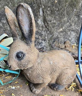 Rabbit