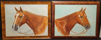 HANDSOME HORSE PAINTINGS SIGNED BY ARTIST D.R. SCHWARTZ