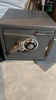 Sentry Safe