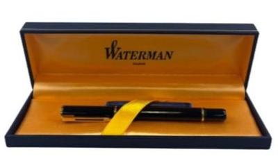 New! Waterman Fountain Pen