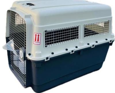 Essentials Airline Approved Plastic Pet Carrier