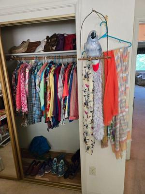 Sale Photo Thumbnail #91