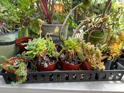 Sale Photo Thumbnail #323