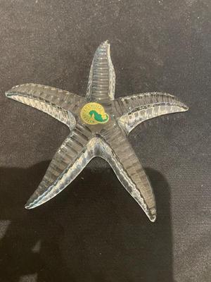 Waterford starfish