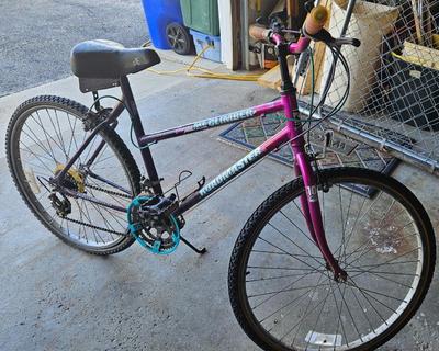 1990s roadmaster women s mountain climber (1)