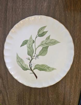 Dinnerware 1960s w s. george boloro (6)