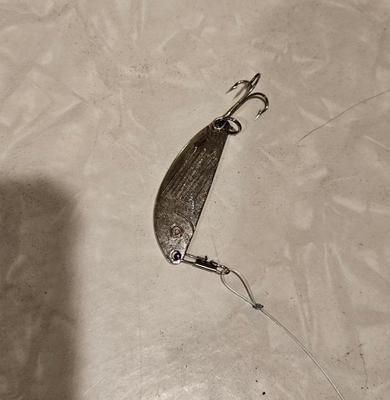 Fishing vintage fish shaped spoons 1)