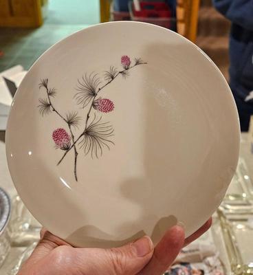 Dinnerware 1960s canonsburg wild clover
