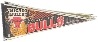 1990s bulls 5