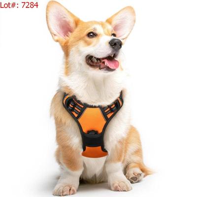 Sale Photo Thumbnail #1237