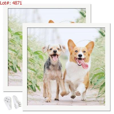 Sale Photo Thumbnail #318