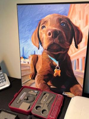 Sale Photo Thumbnail #309