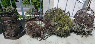 SHABBY CHIC PATIO DECORATIONS WITH PLANTS