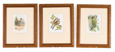 Sale Photo Thumbnail #148