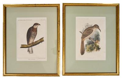 Sale Photo Thumbnail #149
