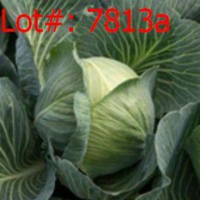 Sale Photo Thumbnail #911