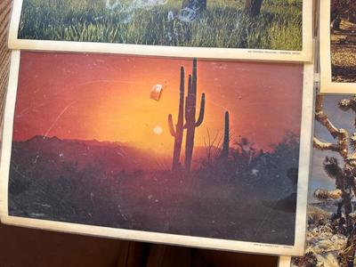 Sale Photo Thumbnail #126