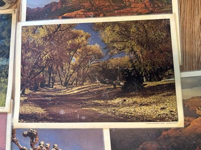 Sale Photo Thumbnail #127