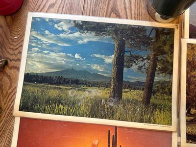 Sale Photo Thumbnail #125