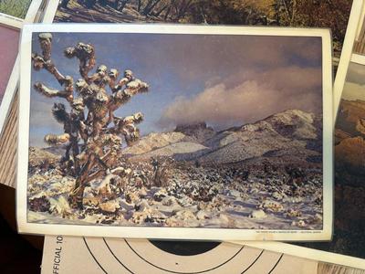 Sale Photo Thumbnail #128
