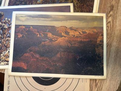Sale Photo Thumbnail #129