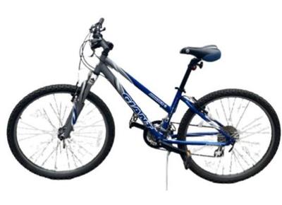 Giant Bolder Bike -size 14 Inch Frame