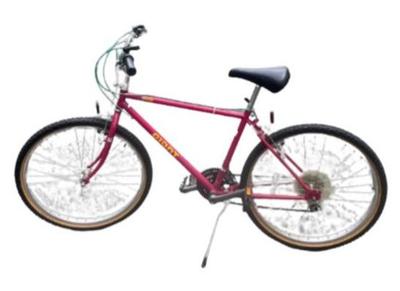 Giant Rincon Bike