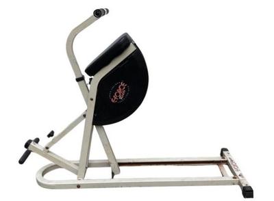 E Force Rider Cross-Trainer