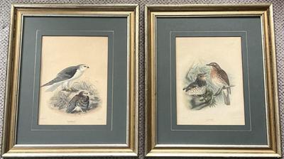 Sale Photo Thumbnail #62