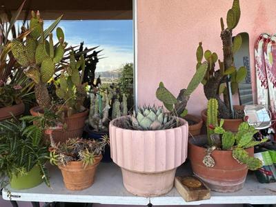 Sale Photo Thumbnail #837